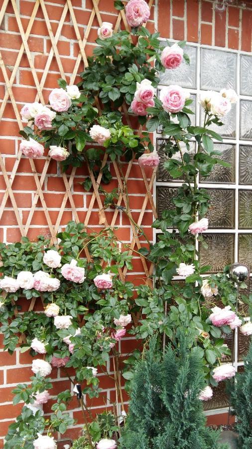 Romantikgarten * Amelinghausen