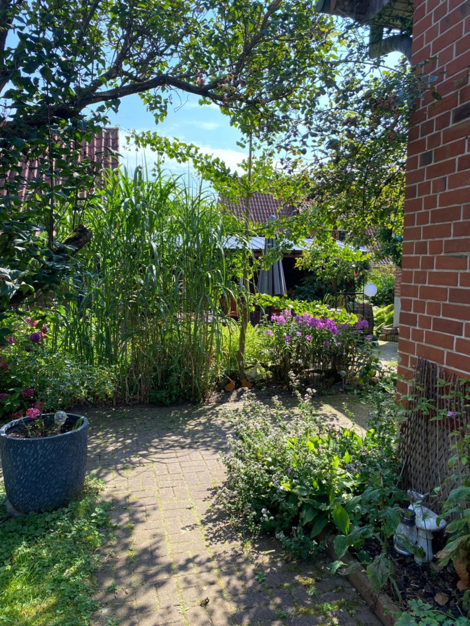Appartement Romantikgarten Amelinghausen